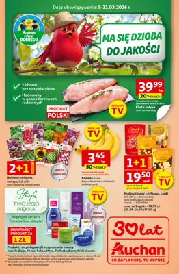Gazetka Auchan